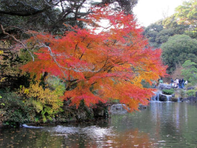 Le lac du Shinshoji Tempel