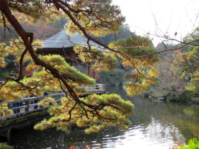 Vue du lac du Shinshoji Tempel