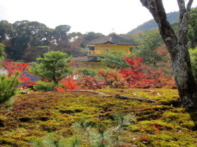 Le haut du jardin de Rokuon-Ji