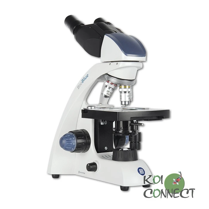 Microscope binoculaire Novex Microblue