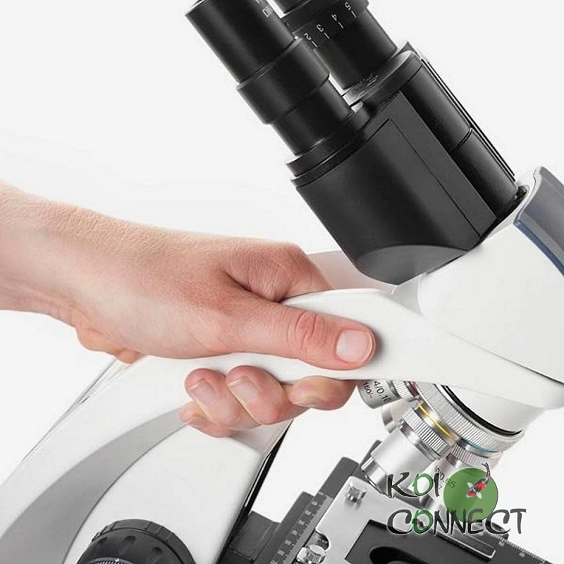 Microscope Microblue Prise en main 