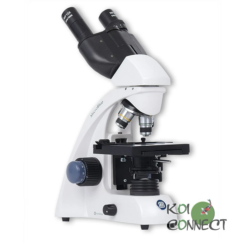 Microscope Microblue