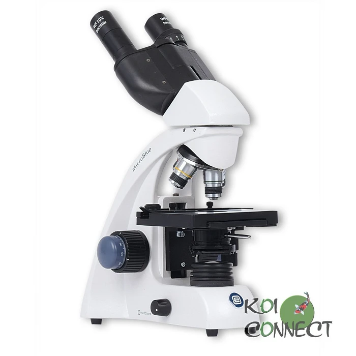 Microscope binoculaire Novex Microblue