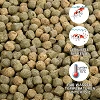 TriKoi Mix 6.5mm Hiver vrac