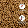 TriKoi Croissance 4.5mm Vrac