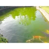 Eau Verte EX (Grünwasser EX) bassin eau verte