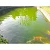 Eau Verte EX (Grünwasser EX) bassin eau verte
