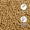 Kenko Power 4.5 mm flottant
