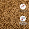 Trikoi Croissance Mini 3 mm Vrac