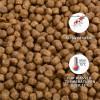 TriKoi Croissance 6.5mm Vrac