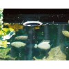 Skimmer Oase Aquaskim 40