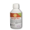 Énergie Plus