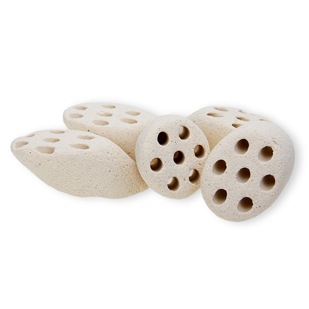 Mountain Tree Lotus Nitro Ring