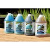 Microbe-Lift Natural Kit pour bassin de baignade bord du bassin