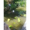 Teich-Klar - Clarifiant naturel pour bassin bassin vert