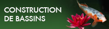 Construction de bassin