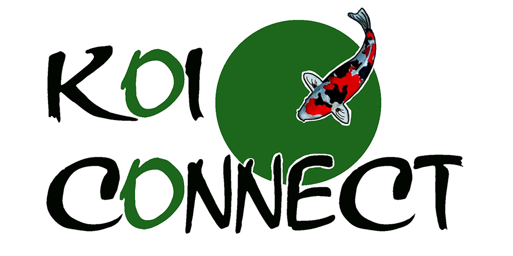 koiconnect.com logo