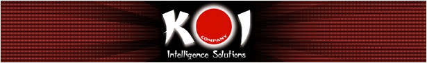 Koi Intelligence Solutions