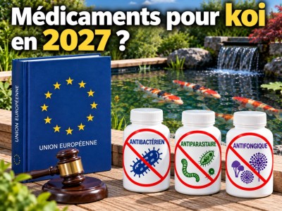Médicaments pour poissons : du changement en 2027